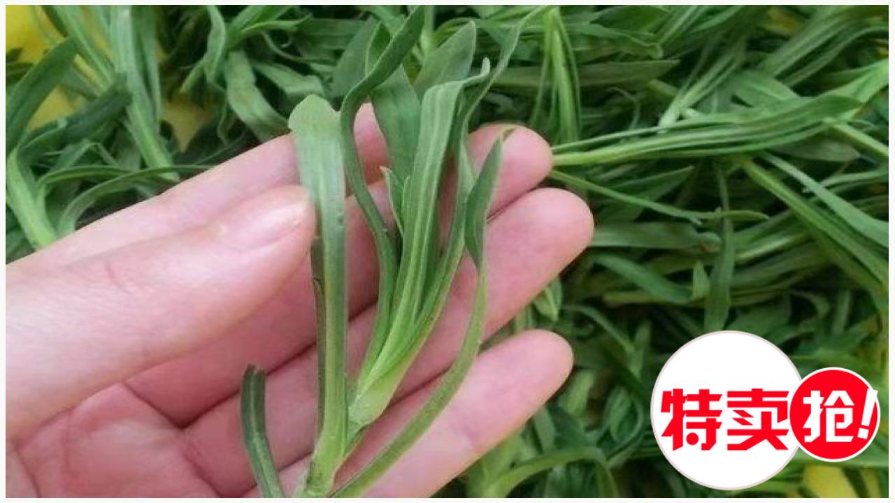 这里野菜才9.9元,便宜多了! 最新评论 暂无评论